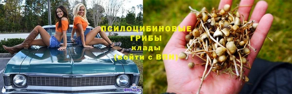 a pvp Абдулино