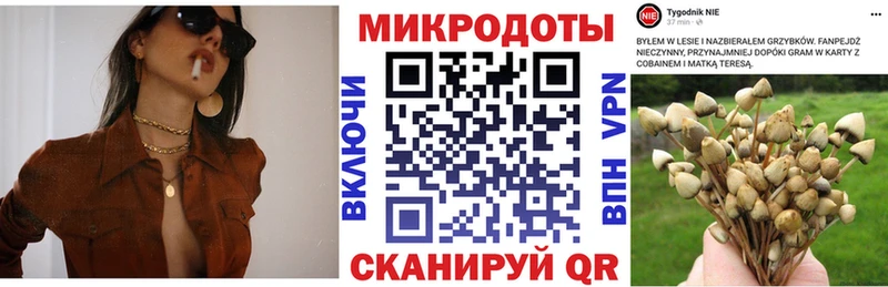 мега как зайти  где найти наркотики  Абинск  Галлюциногенные грибы прущие грибы 