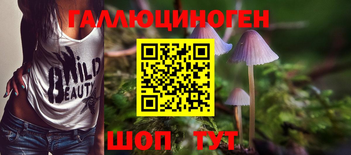 Псилоцибиновые грибы мухоморы Абинск